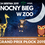 Nocny Bieg w ZOO