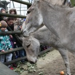 Jak minęły ferie w ZOO?